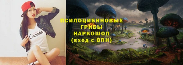 гидра Армянск