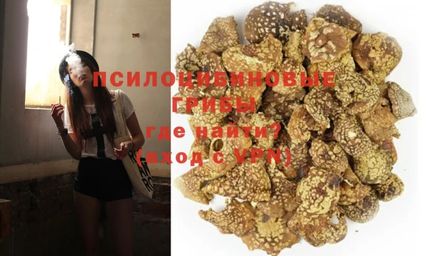 гидра Армянск
