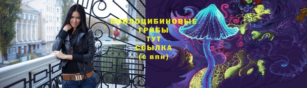 гидра Армянск